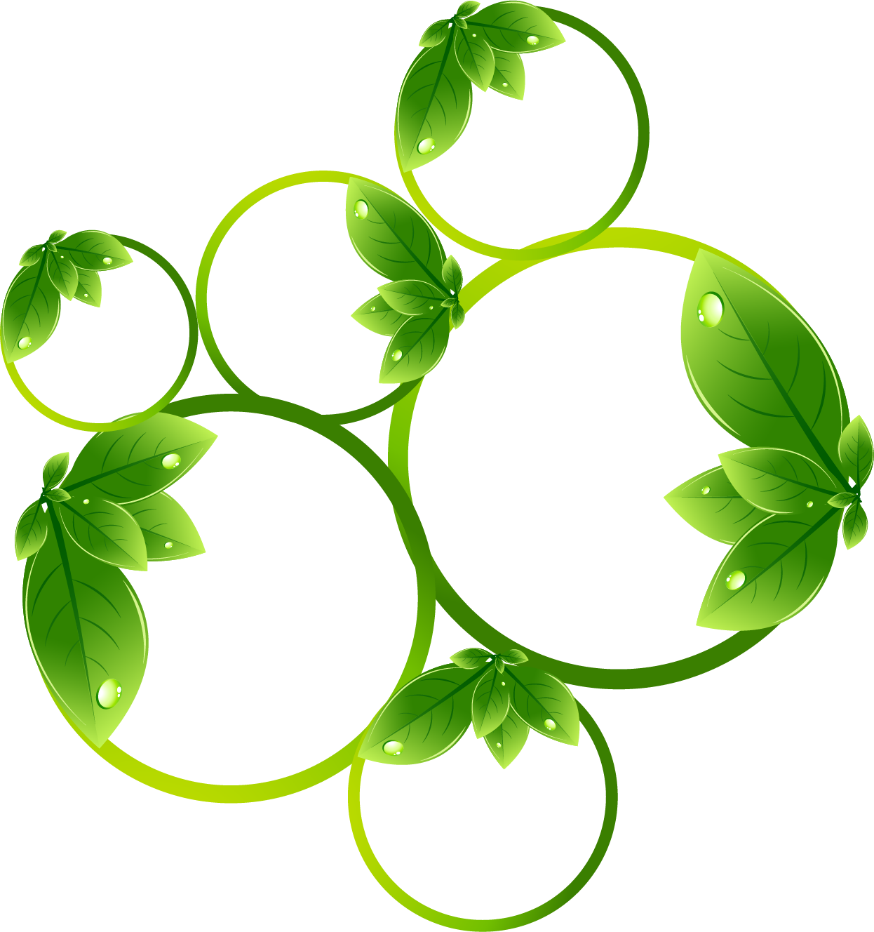 Nature Leaves PNG Clipart Background