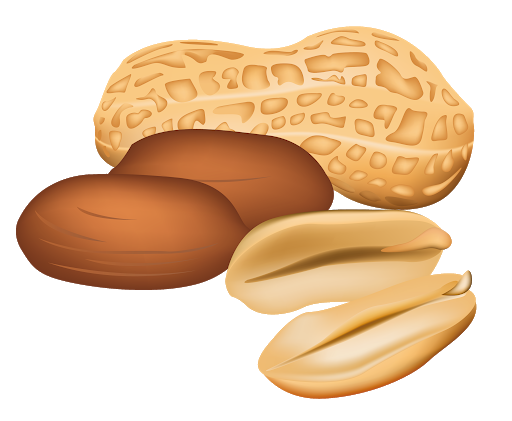 Nuts Background PNG Image