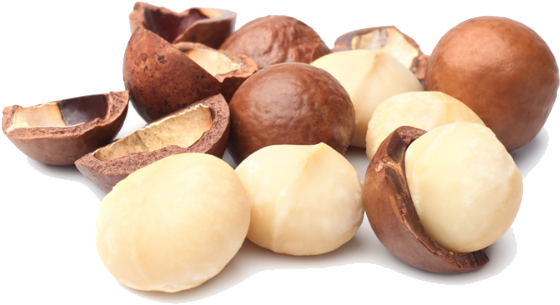 Nuts PNG Clipart Background