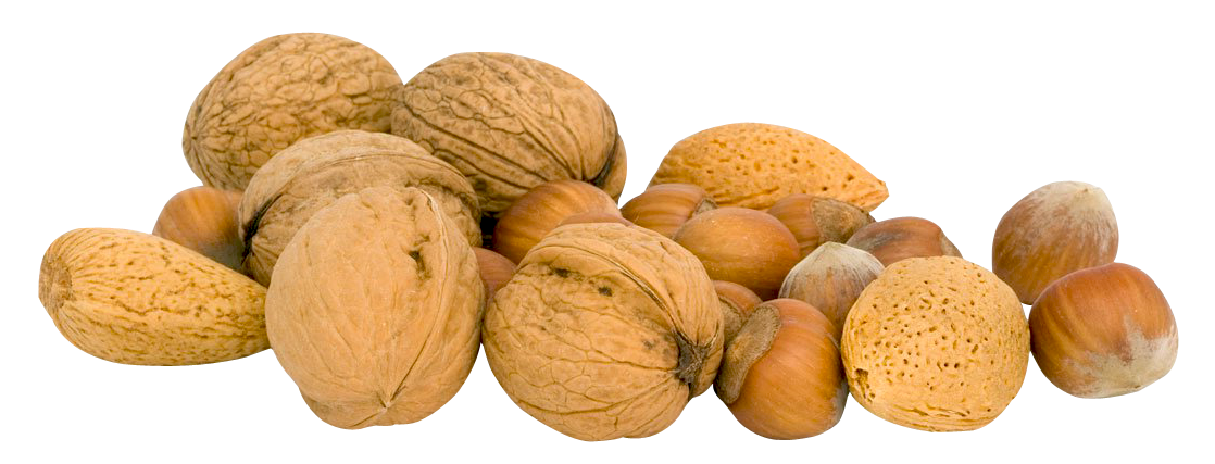 Nuts PNG Images HD