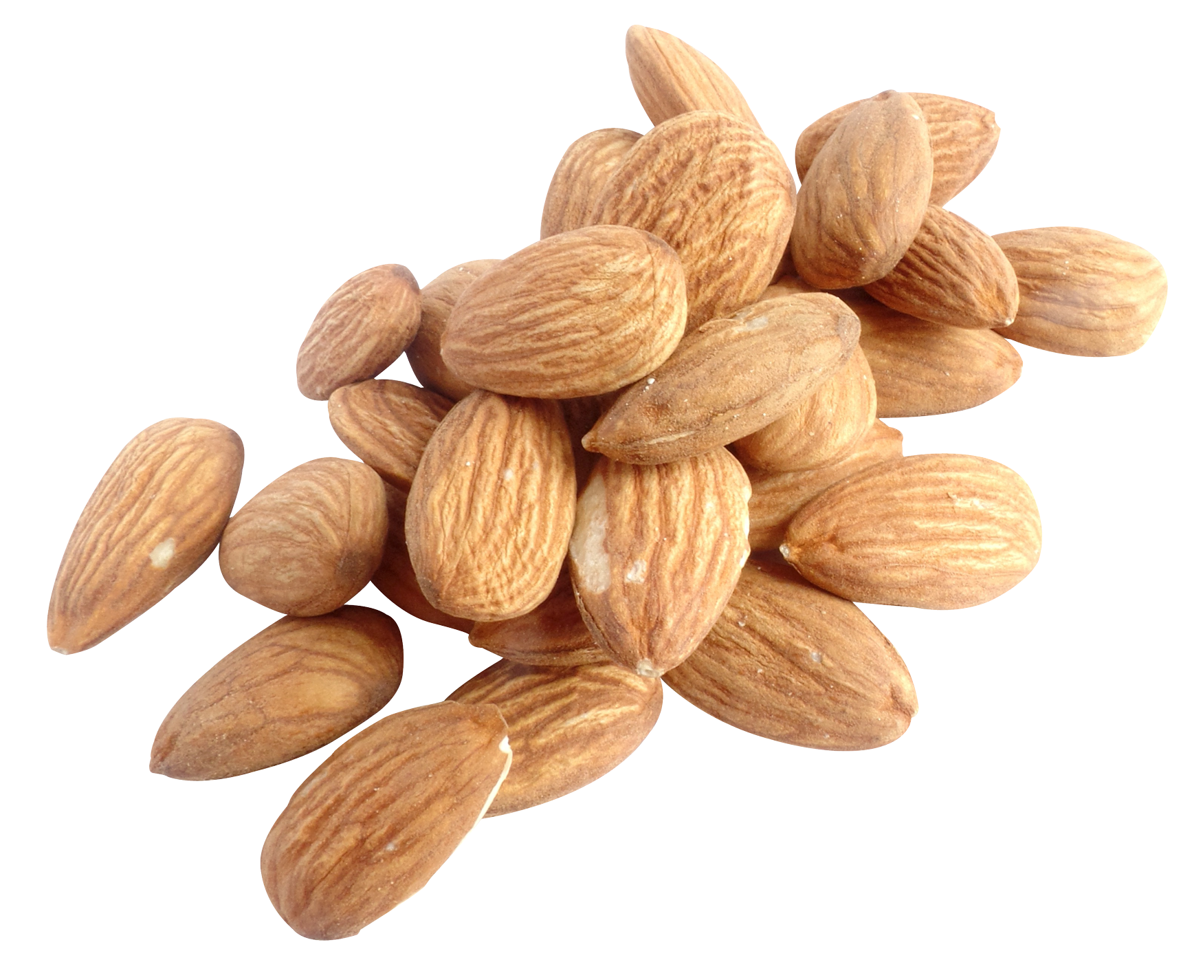 Nuts PNG Photos