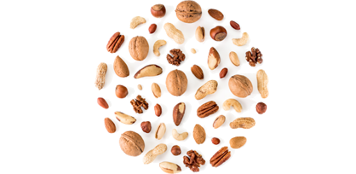 Nuts Transparent File