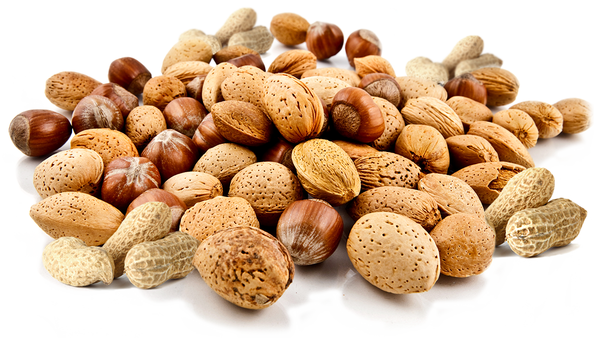 Nuts Transparent Free PNG