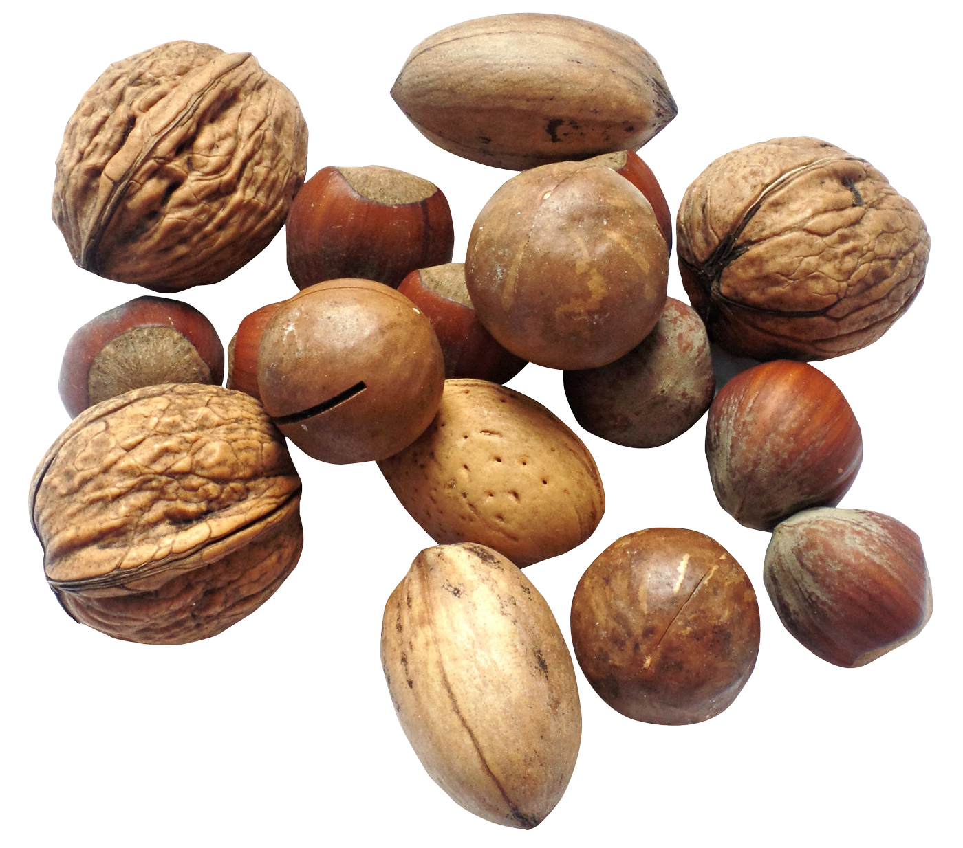 Nuts Transparent Images