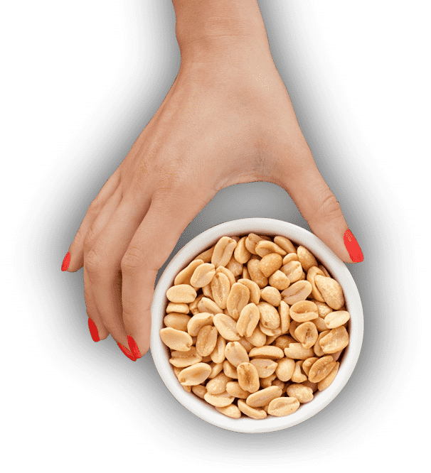 Nuts Transparent PNG