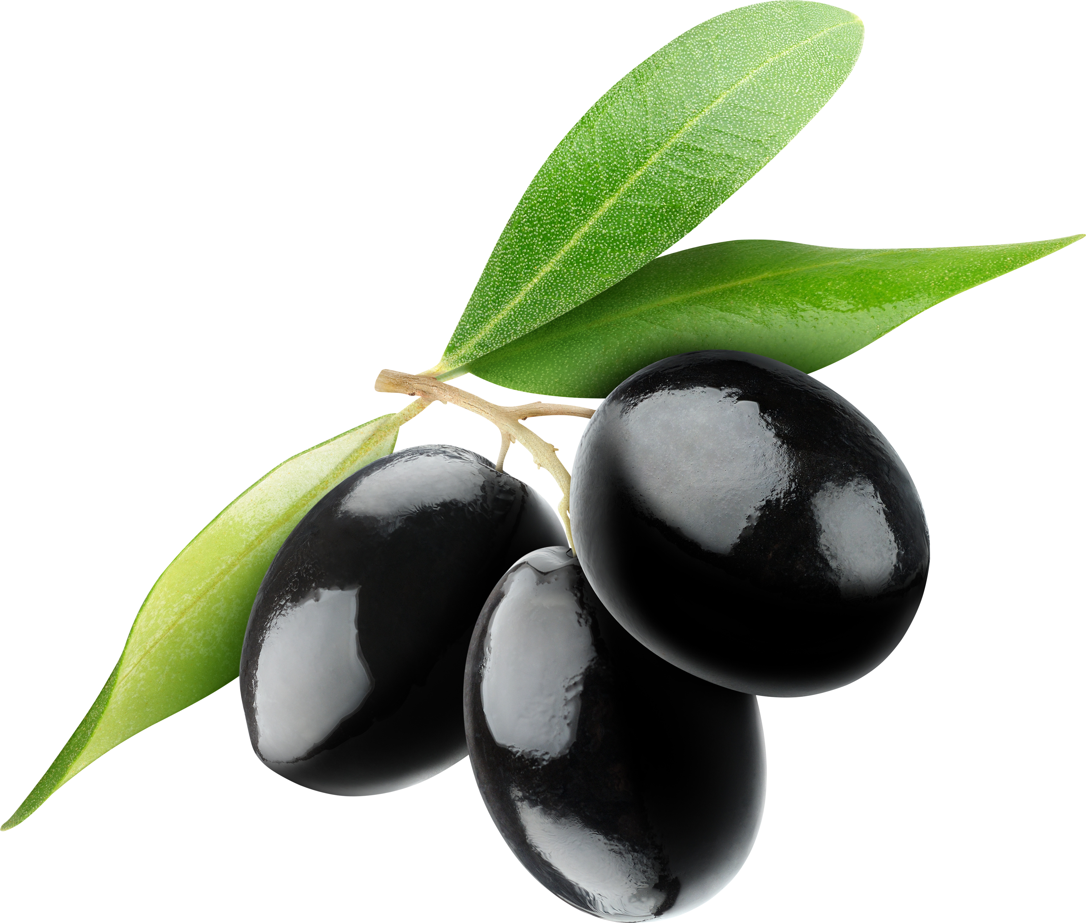 Olive Download Free PNG