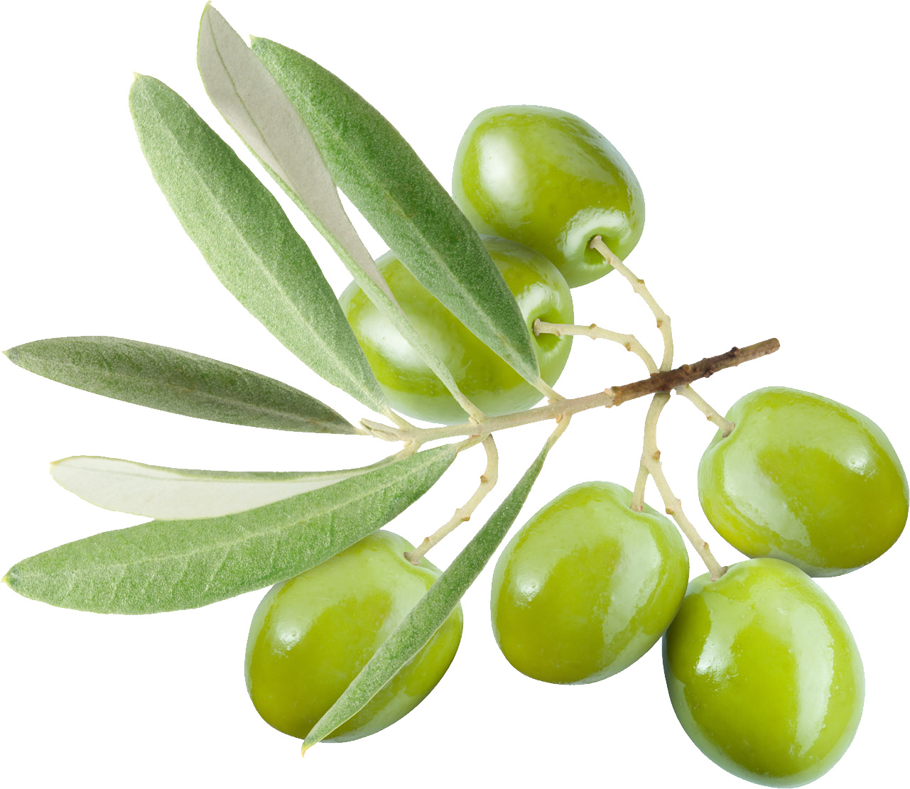 Olive Transparent Image