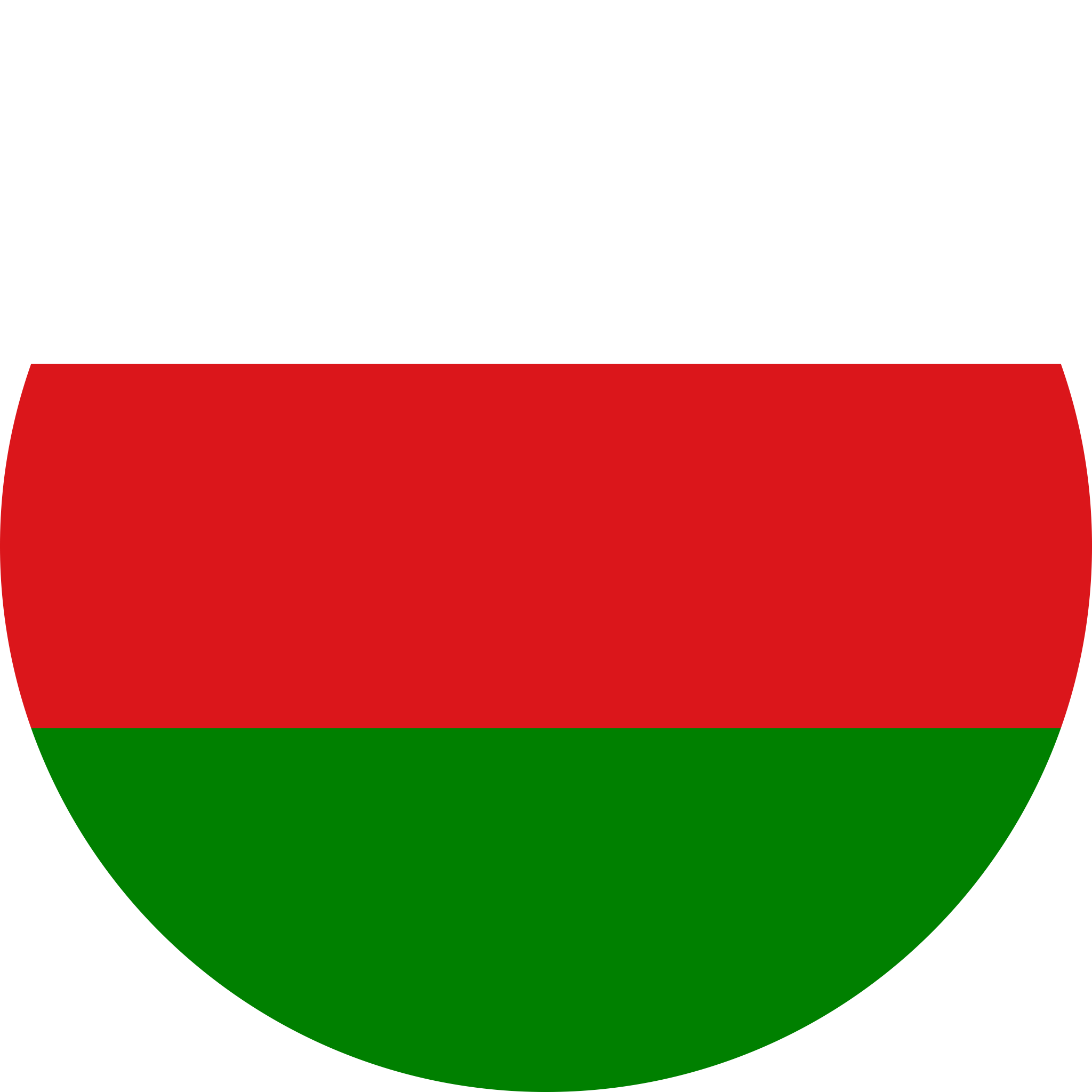 Oman Flag PNG Background