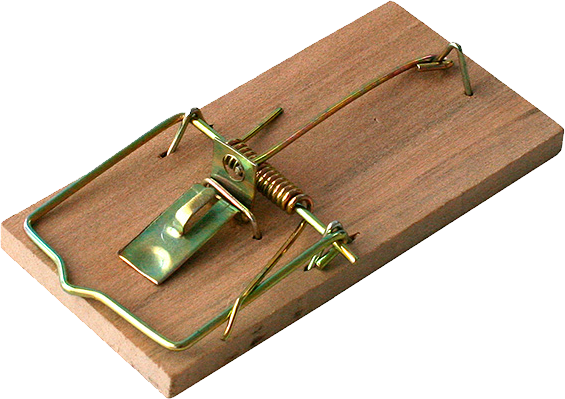 Real Mousetrap Transparent Free PNG