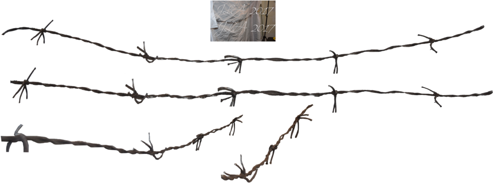 Barbed Wire Transparent Image