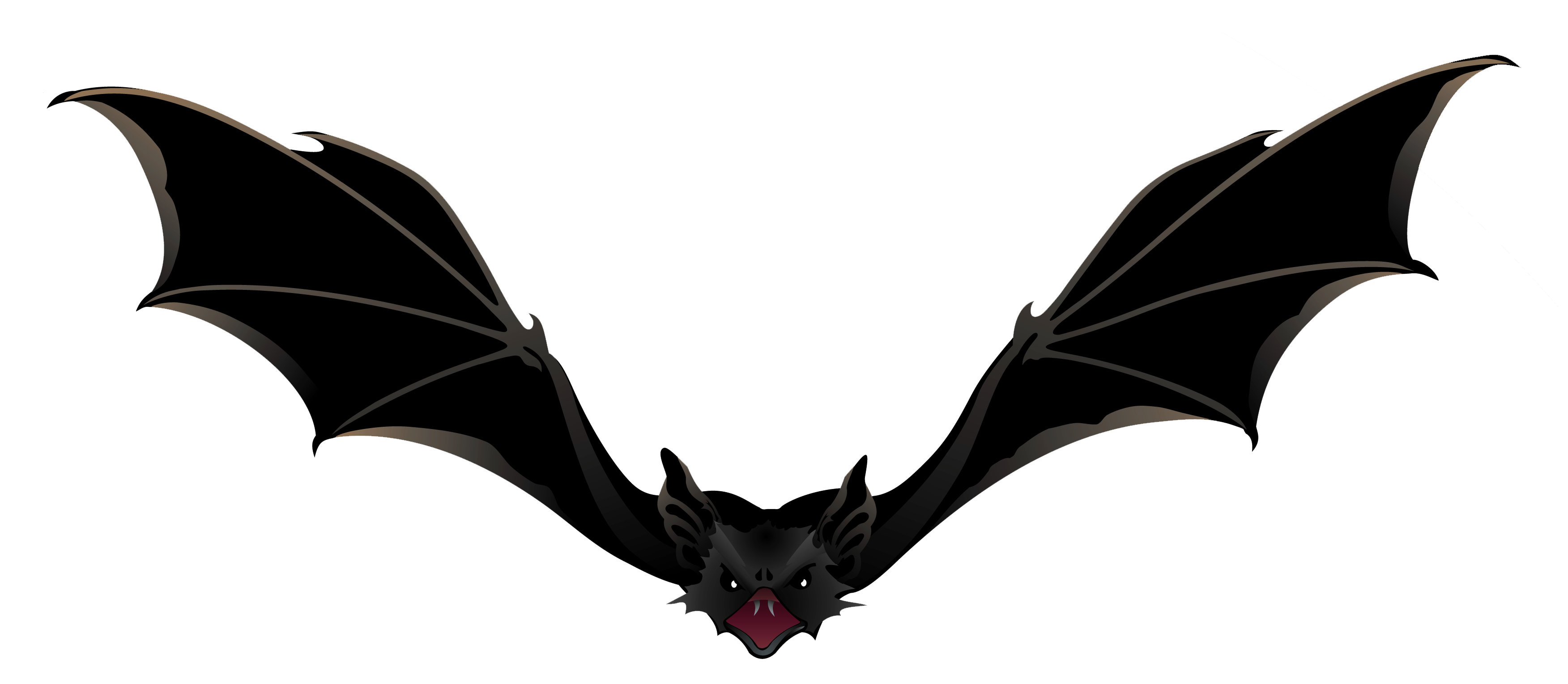 الخفافيش السوداء خلفية شفافة