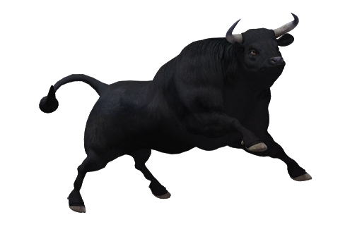 Black Ox Animal PNG HD Quality