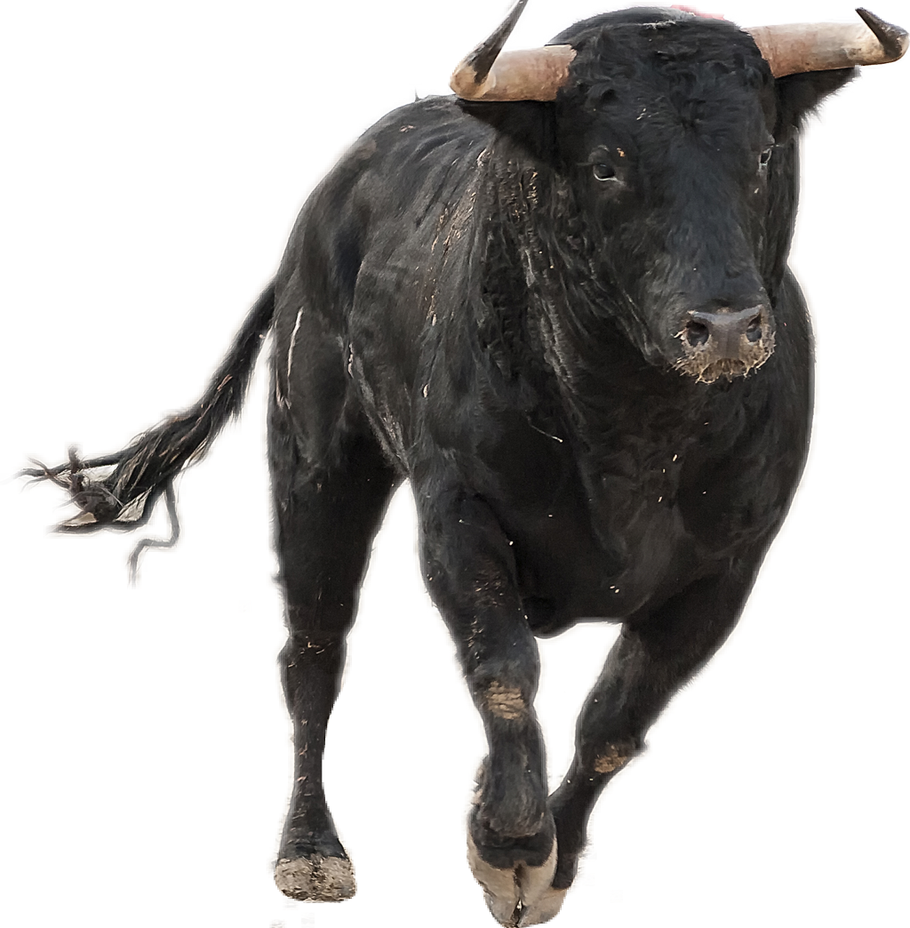 Black Ox Animal Transparent Free PNG