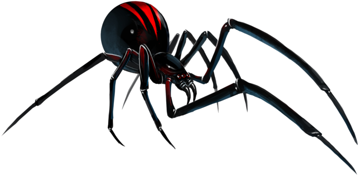 Black Spider Transparent PNG
