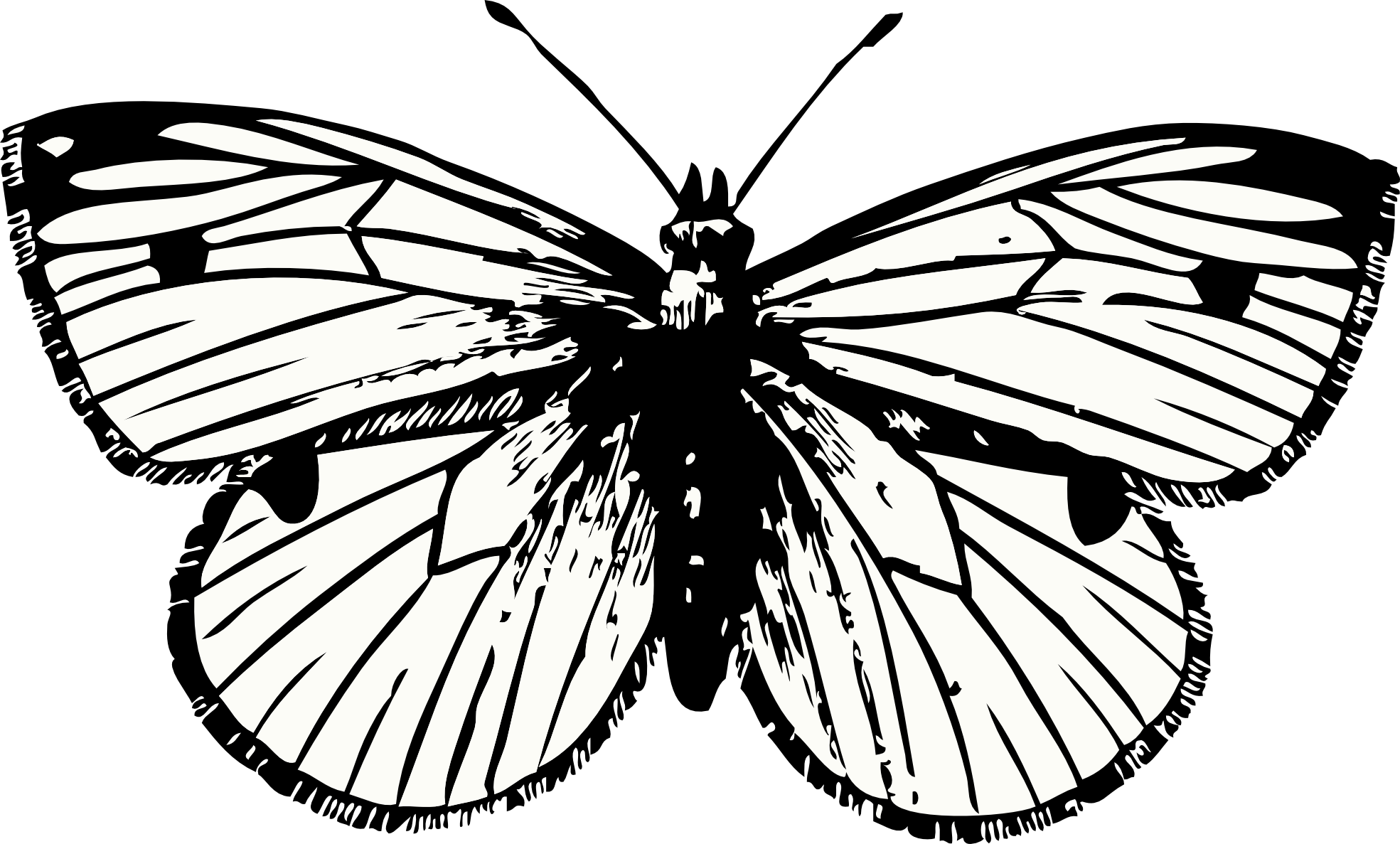 Butterfly Tattoo PNG Clipart Background