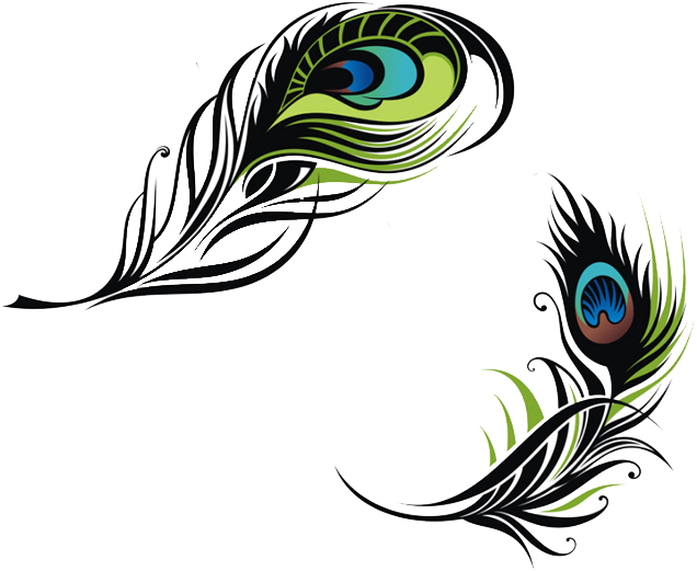 Colorful Peacock Feather PNG HD Quality