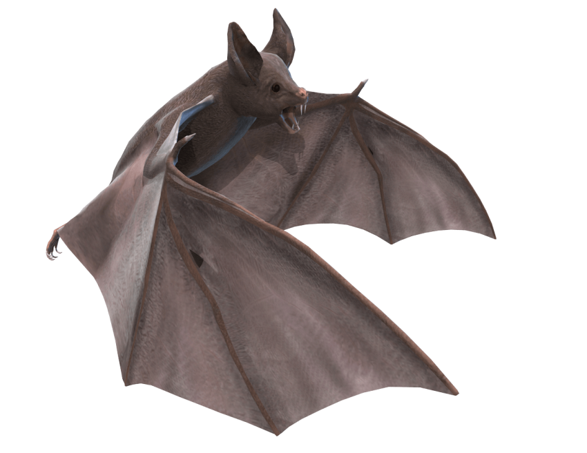 Flying Bat скачать бесплатно PNG