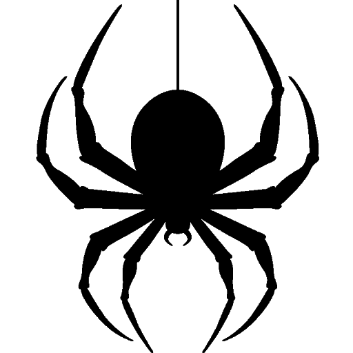 Giant Spider Transparent PNG