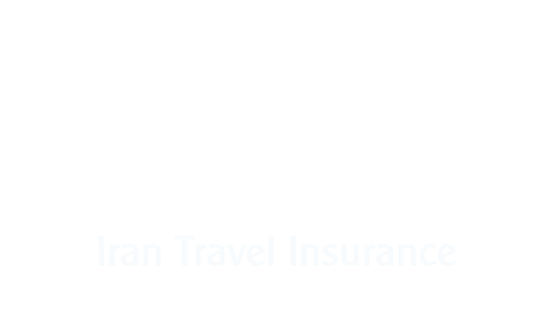 Medical Travel Insurance Transparent File