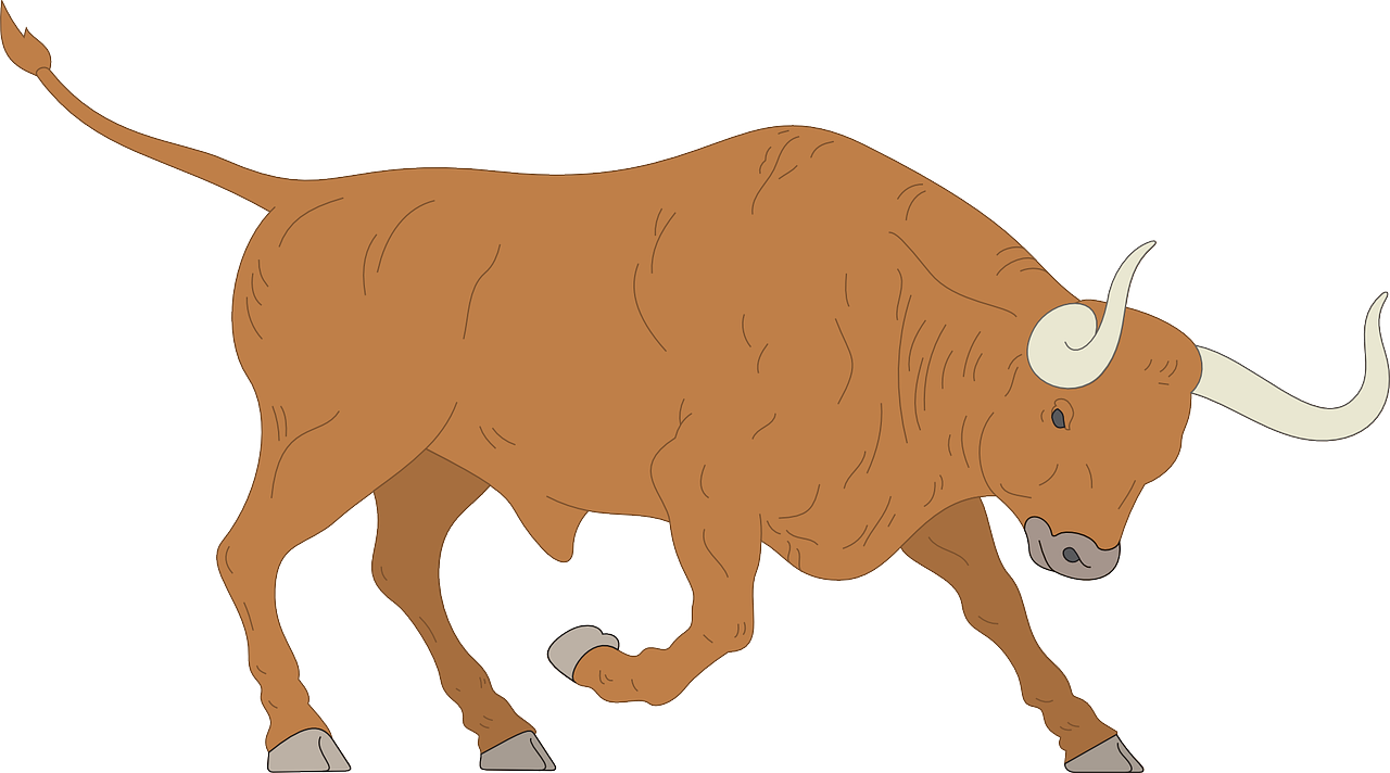 Ox Animal PNG Background