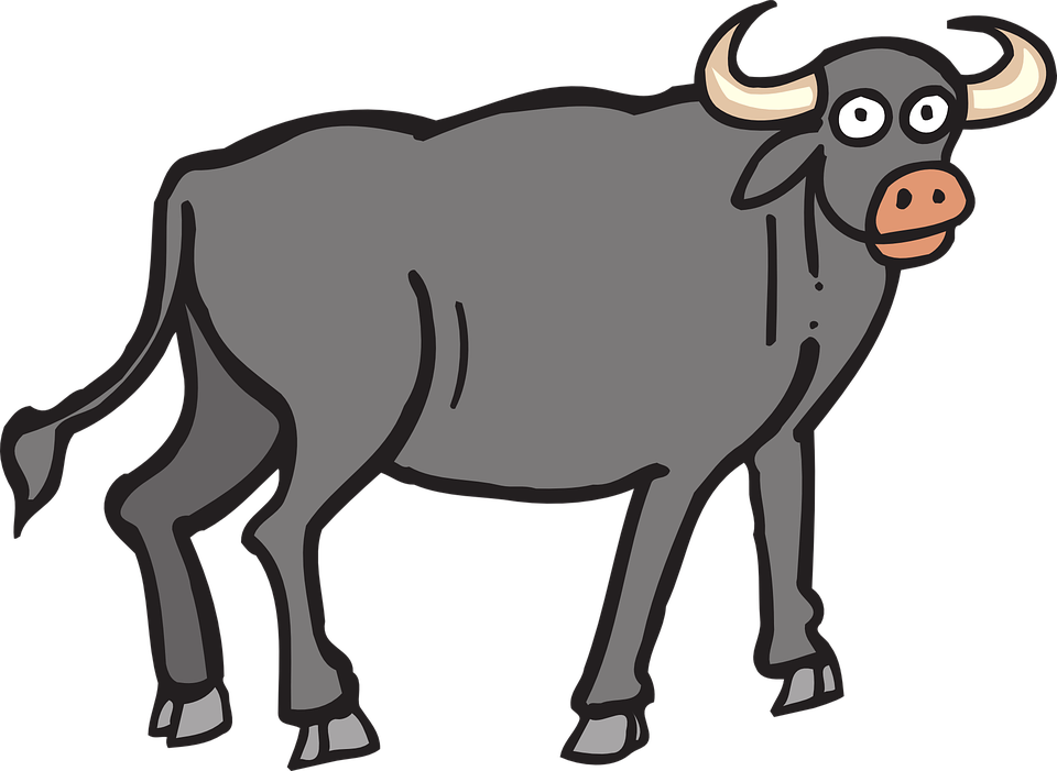 Ox Animal PNG Images HD