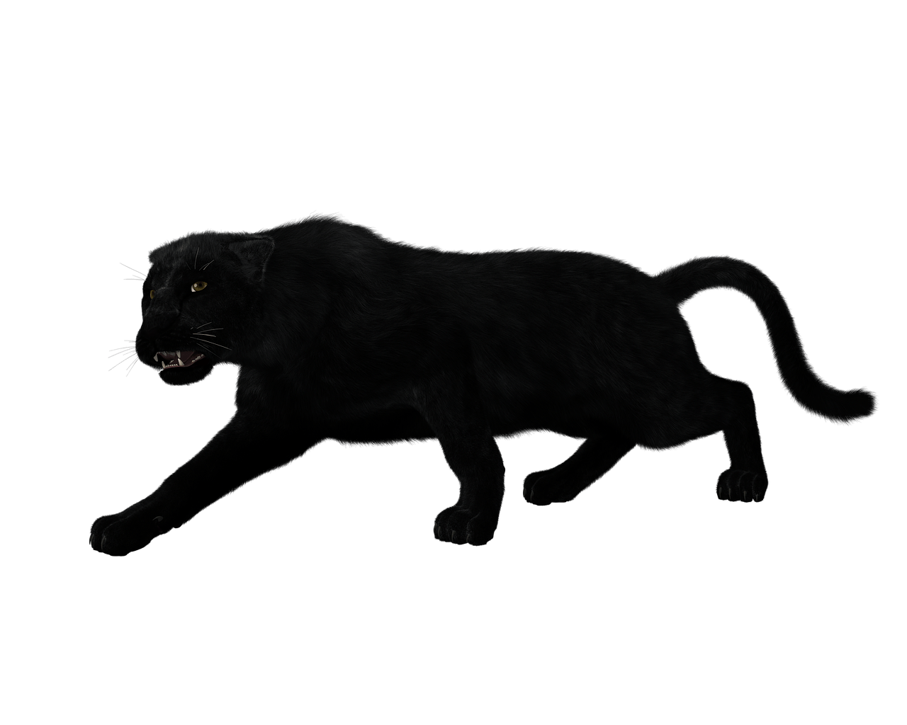 Panther Download Free PNG