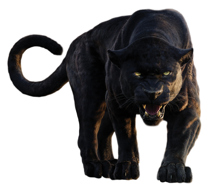 Panther No Background