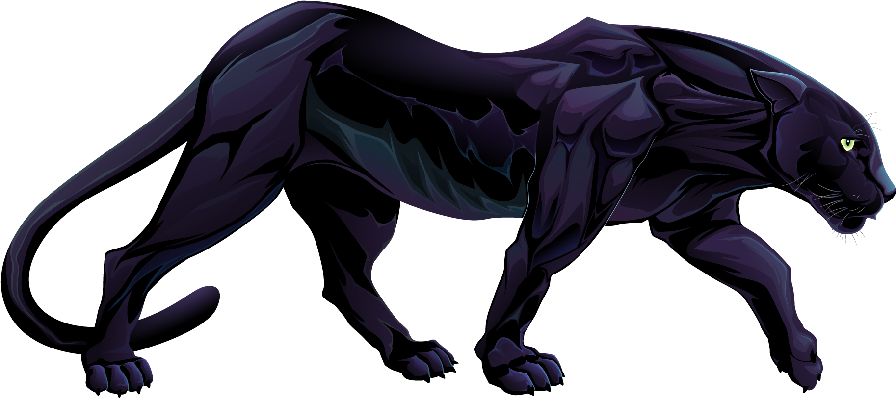 Panther PNG Background