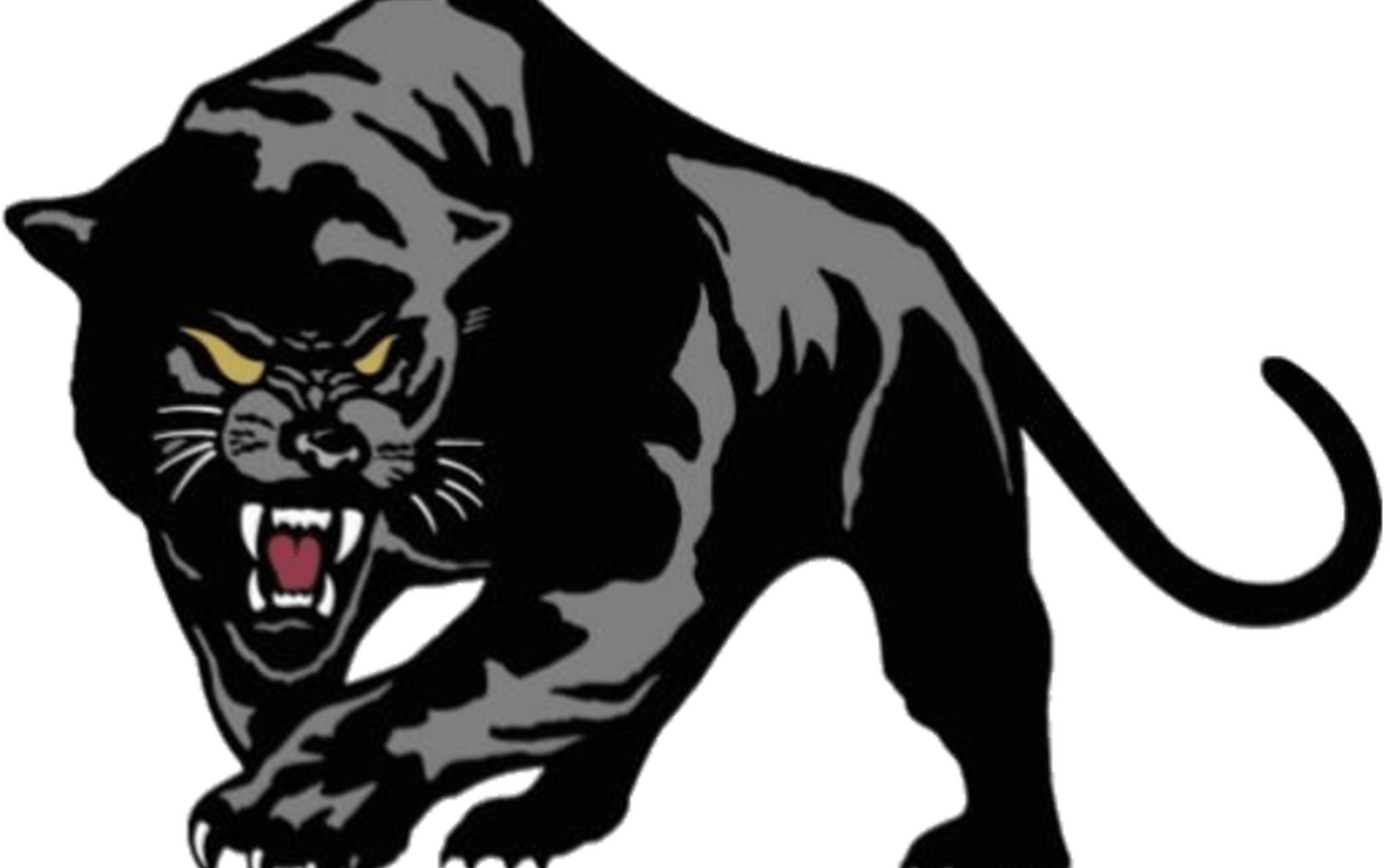 Panther PNG Free File Download
