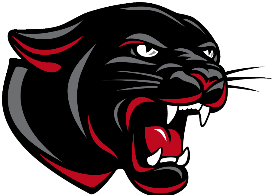 Panther PNG Pic Background