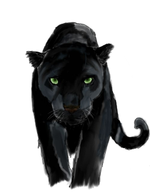Panther Transparent PNG