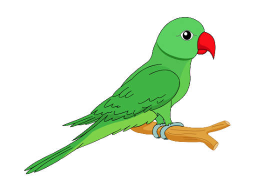 Parrot Bird Background PNG Image