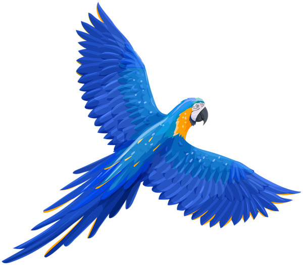 Parrot Transparent Free PNG