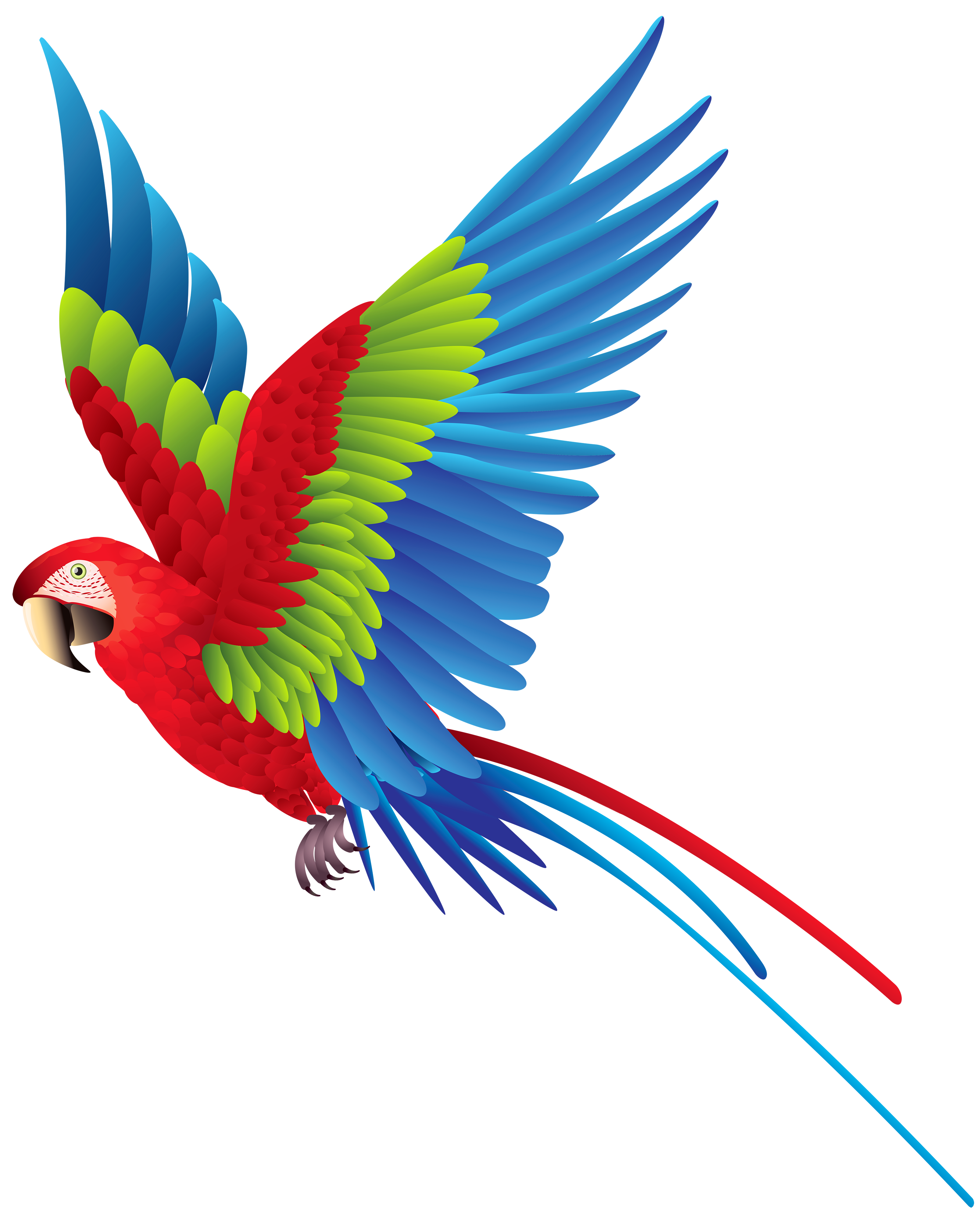 Parrot Transparent Images