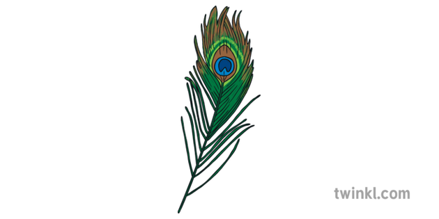 Single Peacock Feather Transparent PNG