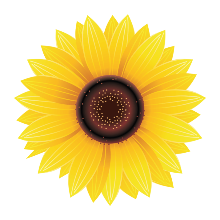 Single Sunflower Transparent PNG