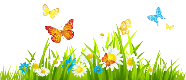 Spring Leaves PNG HD Quality