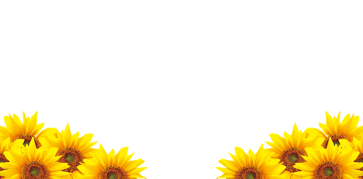 Sunflower Download Free PNG