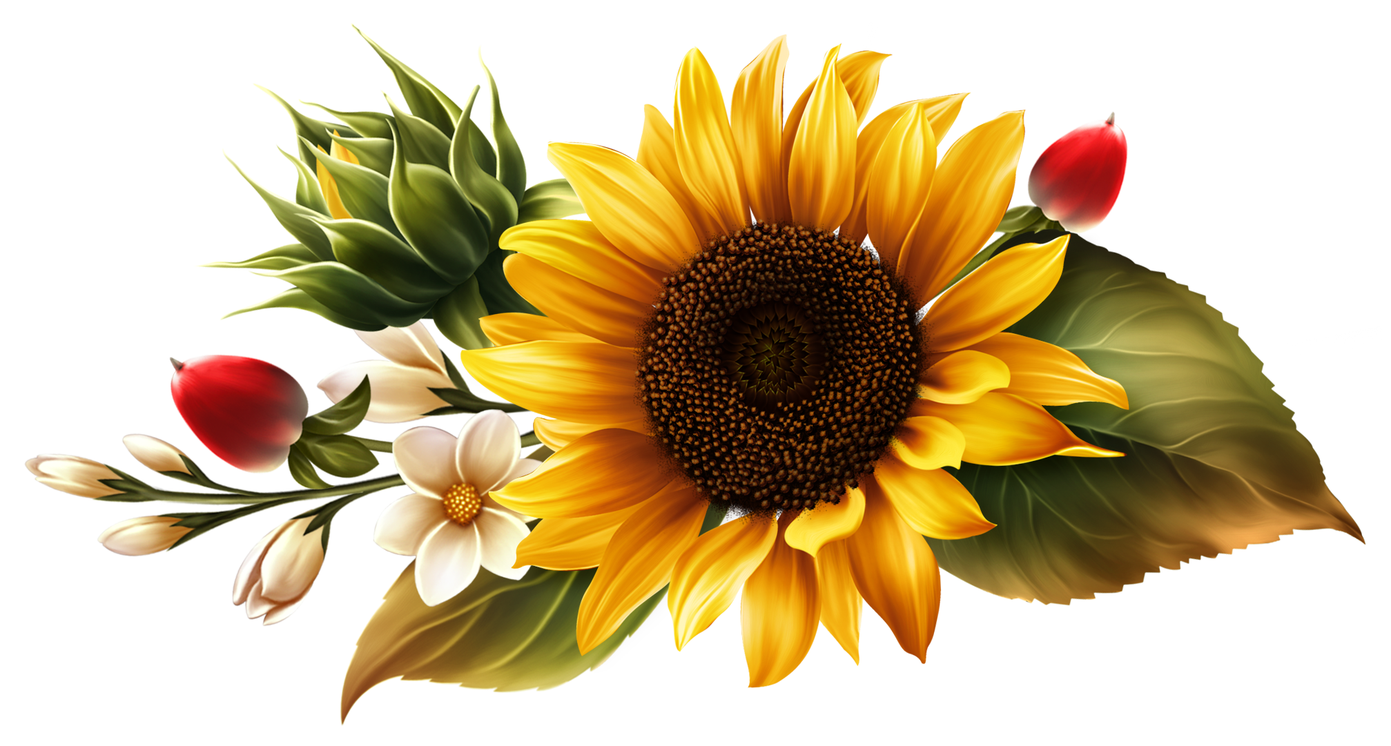 Sunflower PNG HD Quality