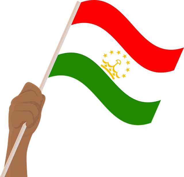 Tajikistan Flag No Background