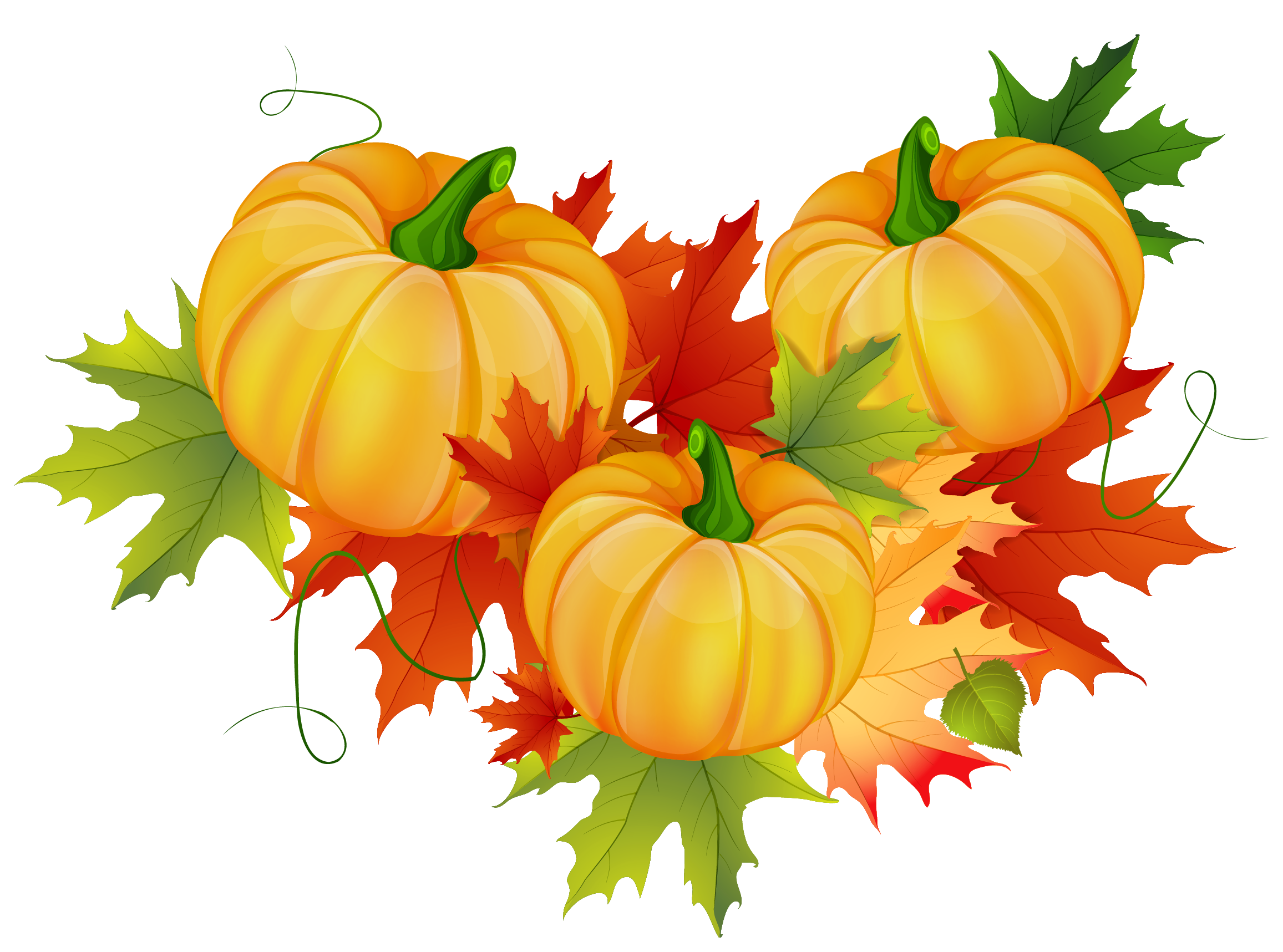 Thanksgiving PNG Pic Background