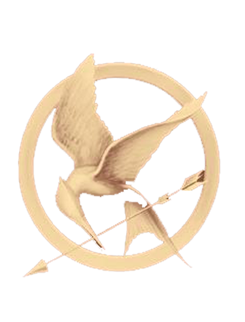 The Hunger Games PNG HD Quality