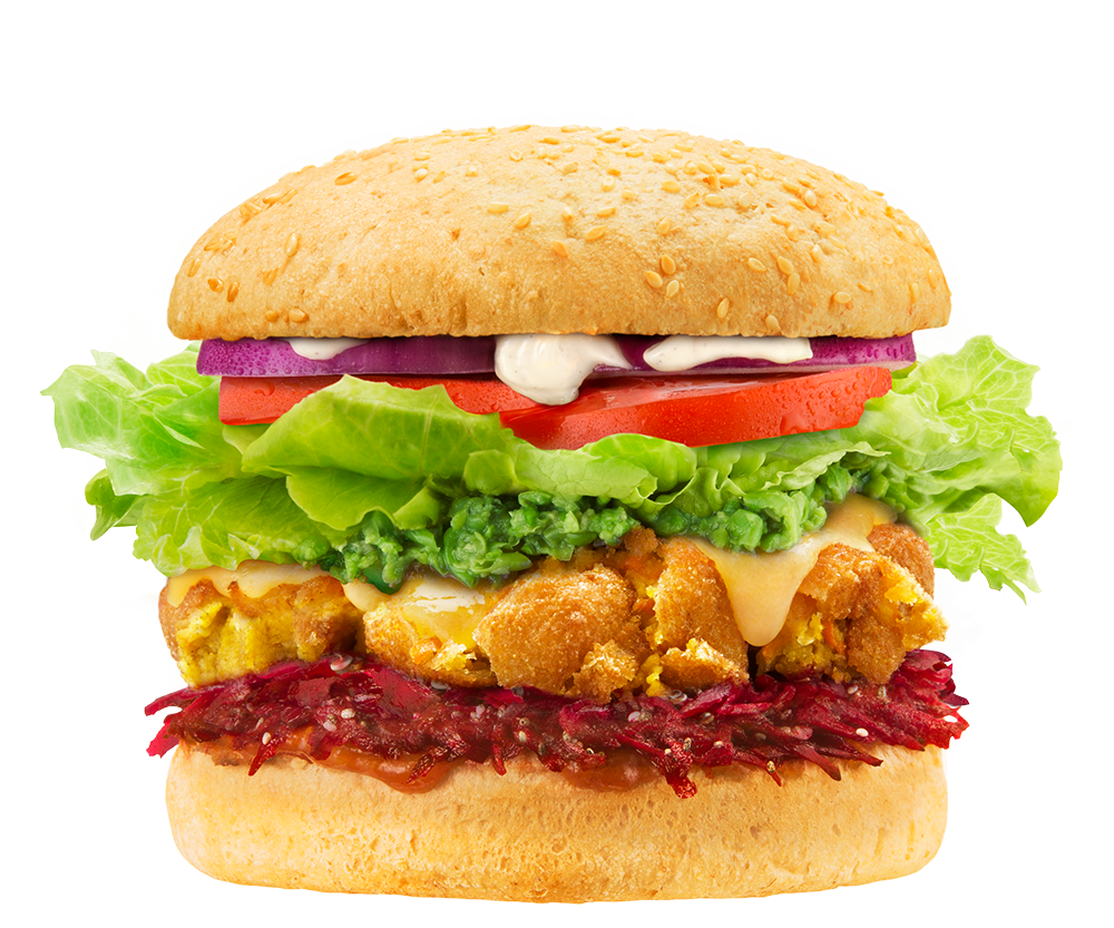 Tofu Burger PNG Free File Download