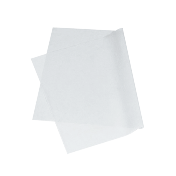 Toilet Paper Roll Download Free PNG