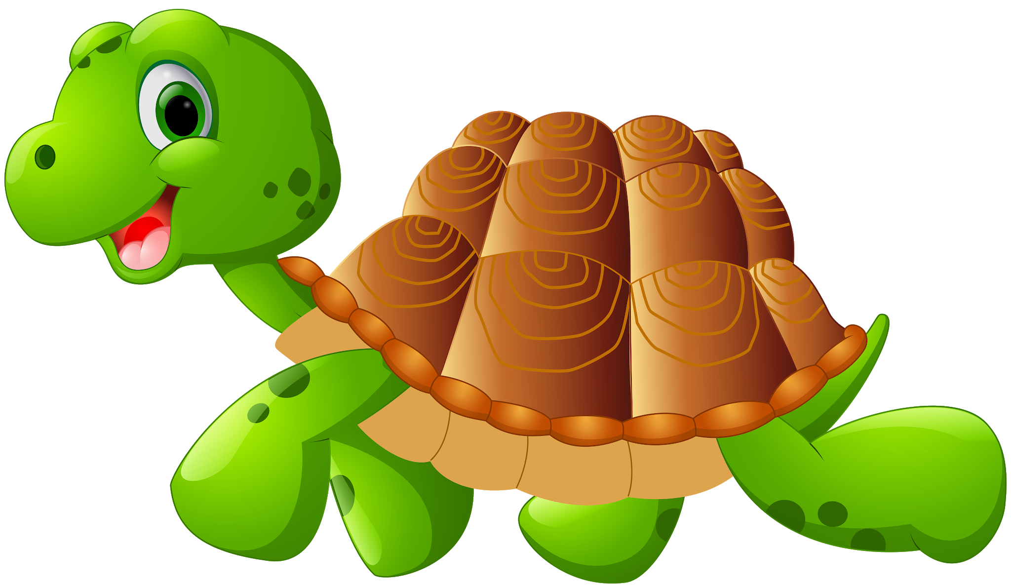 Tortoise Vector PNG HD Quality