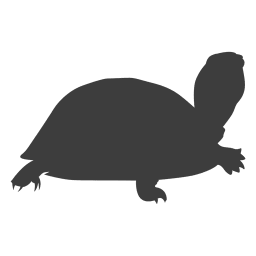 Tortoise Vector Transparent File