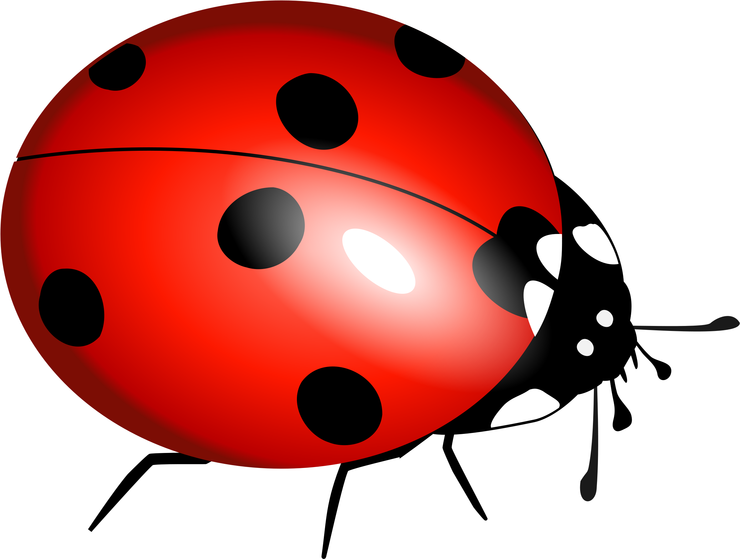 True Bug PNG Clipart Background