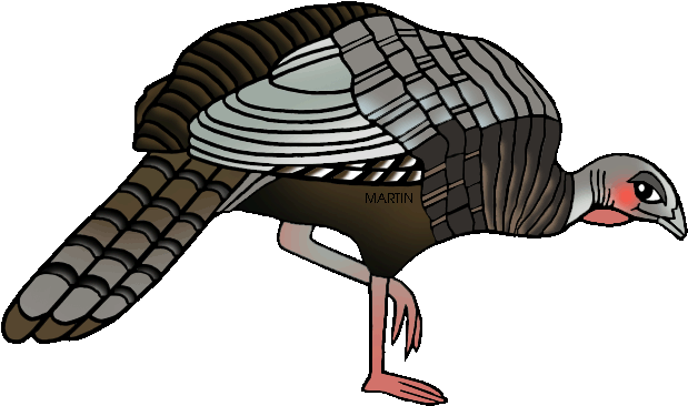 Turkey Bird Background PNG Image