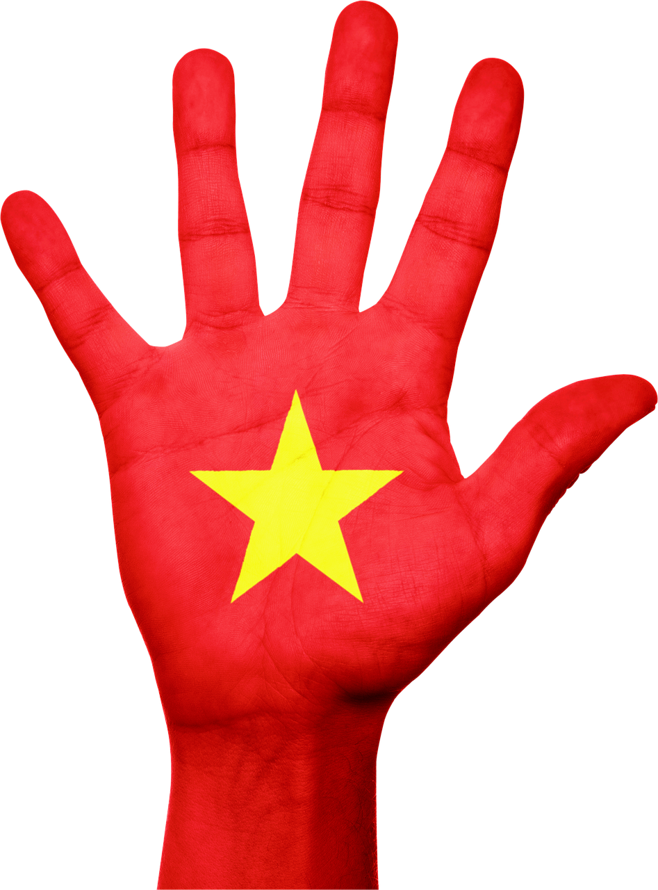 Vietnam Flag No Background