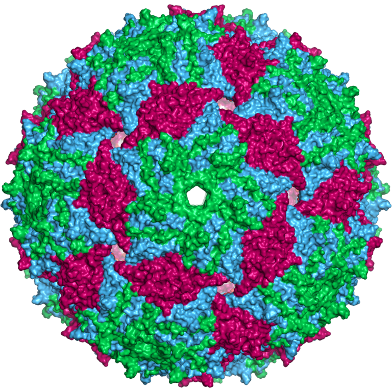 Virus PNG Clipart Background